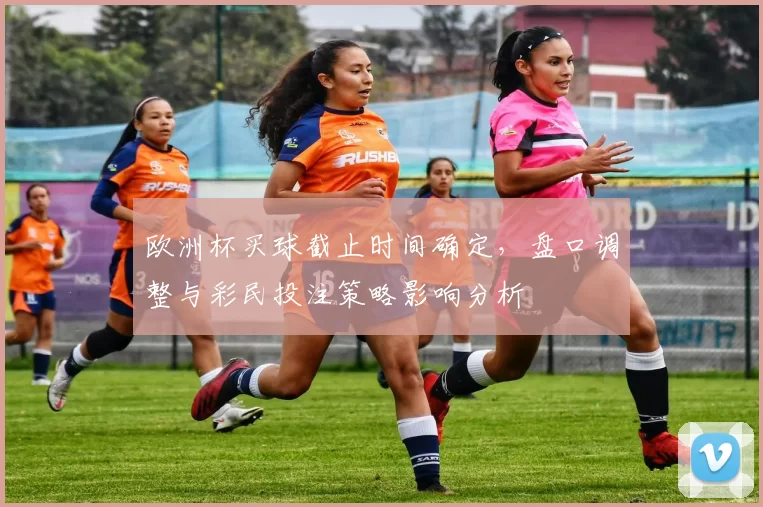 欧洲杯买球截止时间确定，盘口调整与彩民投注策略影响分析