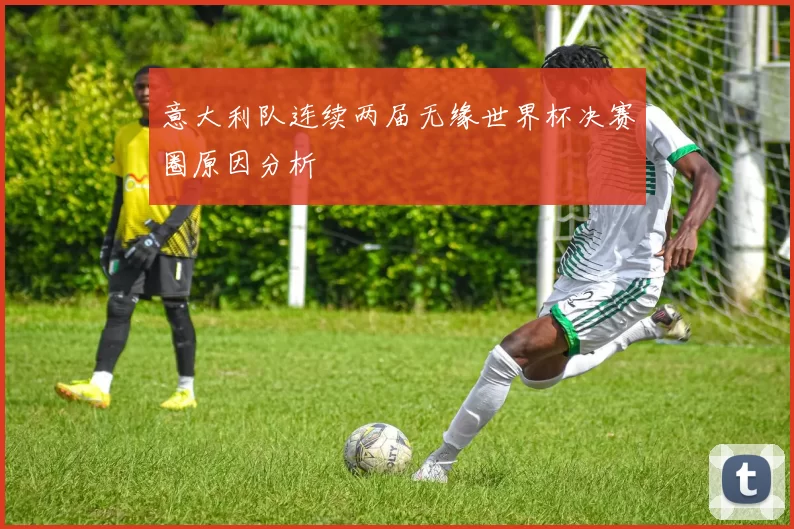 意大利队连续两届无缘世界杯决赛圈原因分析